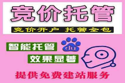 百度运营推广全攻略：成功案例深度剖析